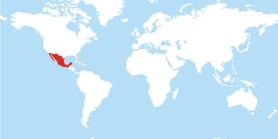 Plasseringen av Mexico i verden kart