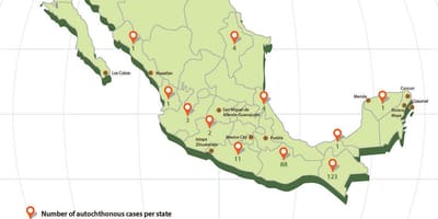 Zika Mexico kart
